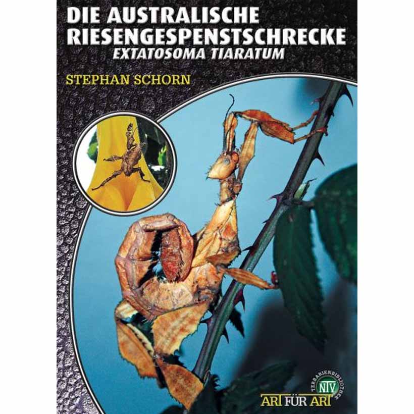 Die Australische Riesengespenstschrecke