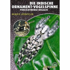 The Indian ornamental tarantula