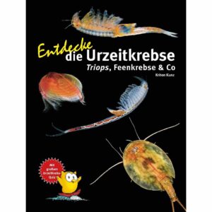 Discover the prehistoric crabs