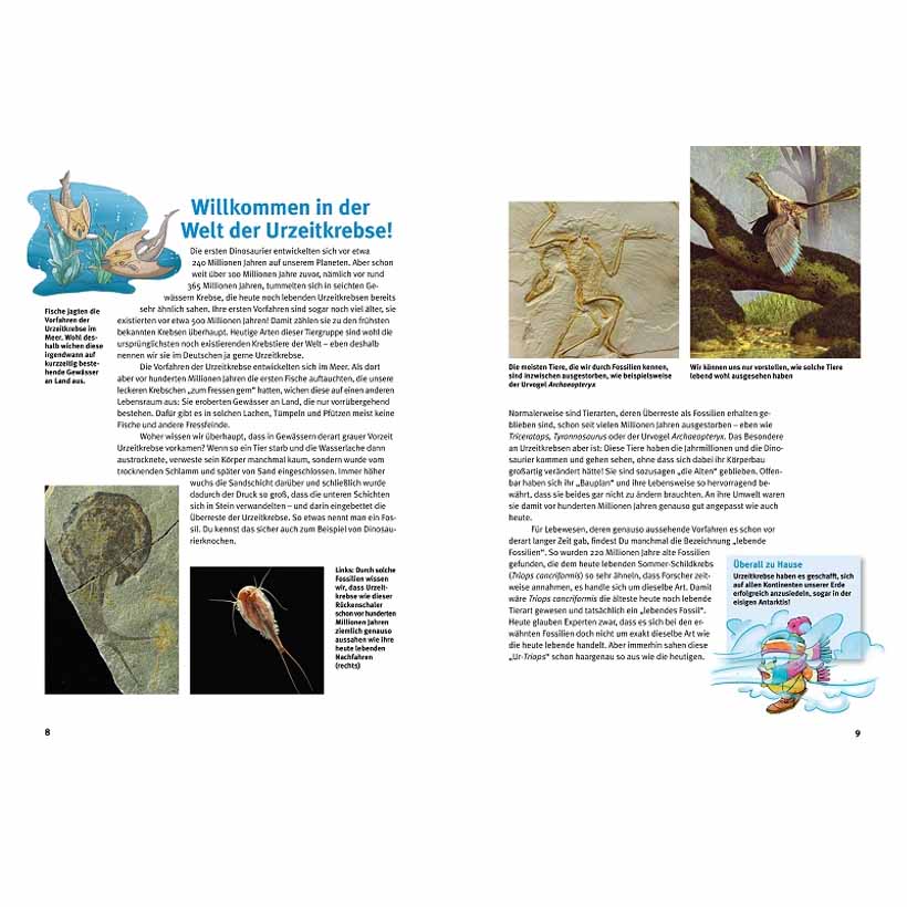 Entdecke die Urzeitkrebse – Bild 2