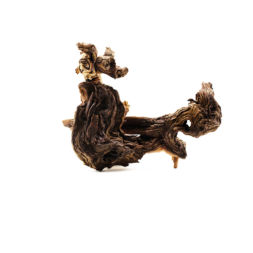 Mopani Wurzel- Rückseite