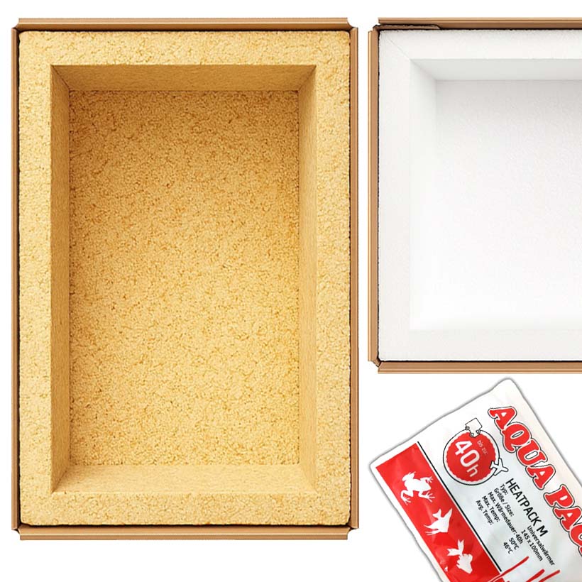 Winterverpackung Beitragsfoto