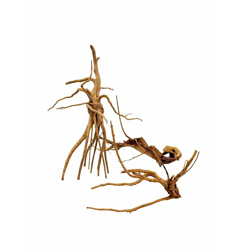 Fingerwood XS- 3 pieces