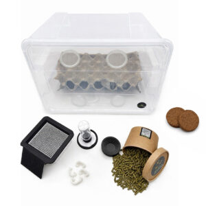 Insektenliebe Heimchen- und Grillenzucht Komplettset