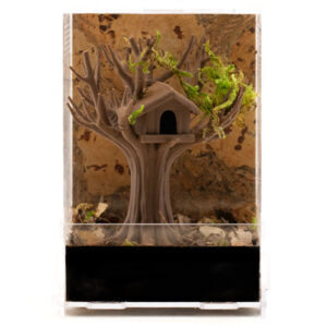 Terrarium Baumhaus "Kronennest"-Terrarium