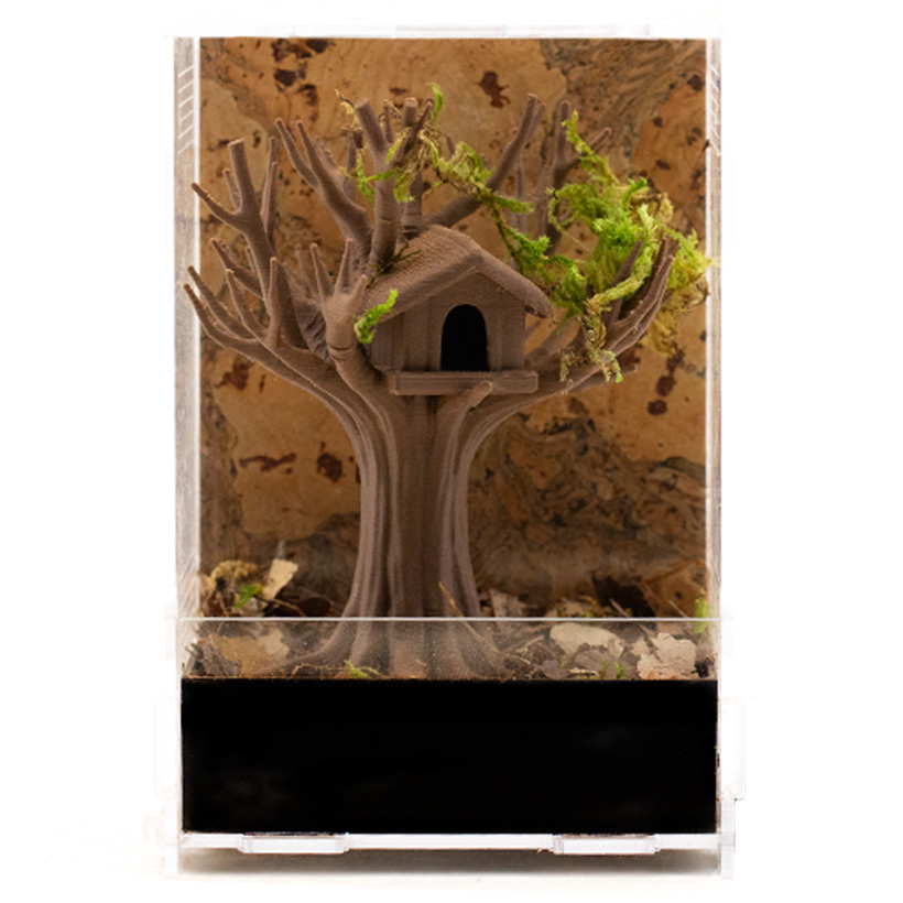 Terrarium Baumhaus "Kronennest"-Terrarium