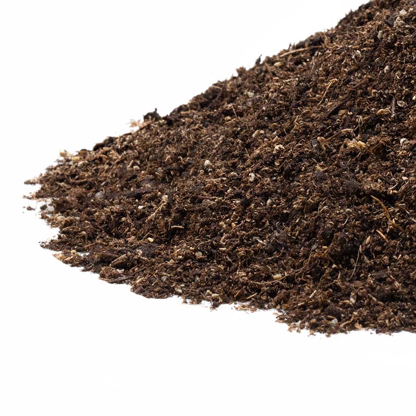 Substrato di tarantola