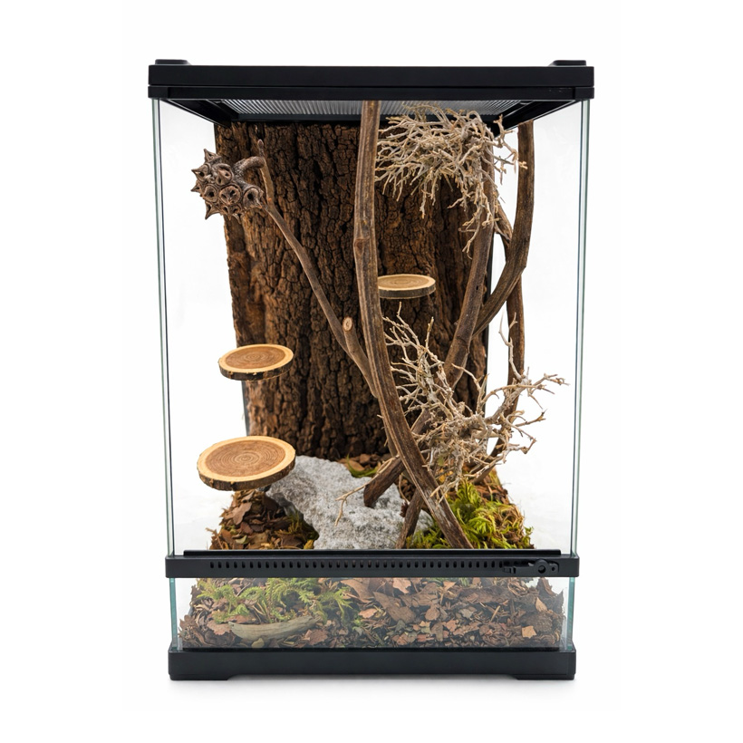 Holzscheiben im Terrarium