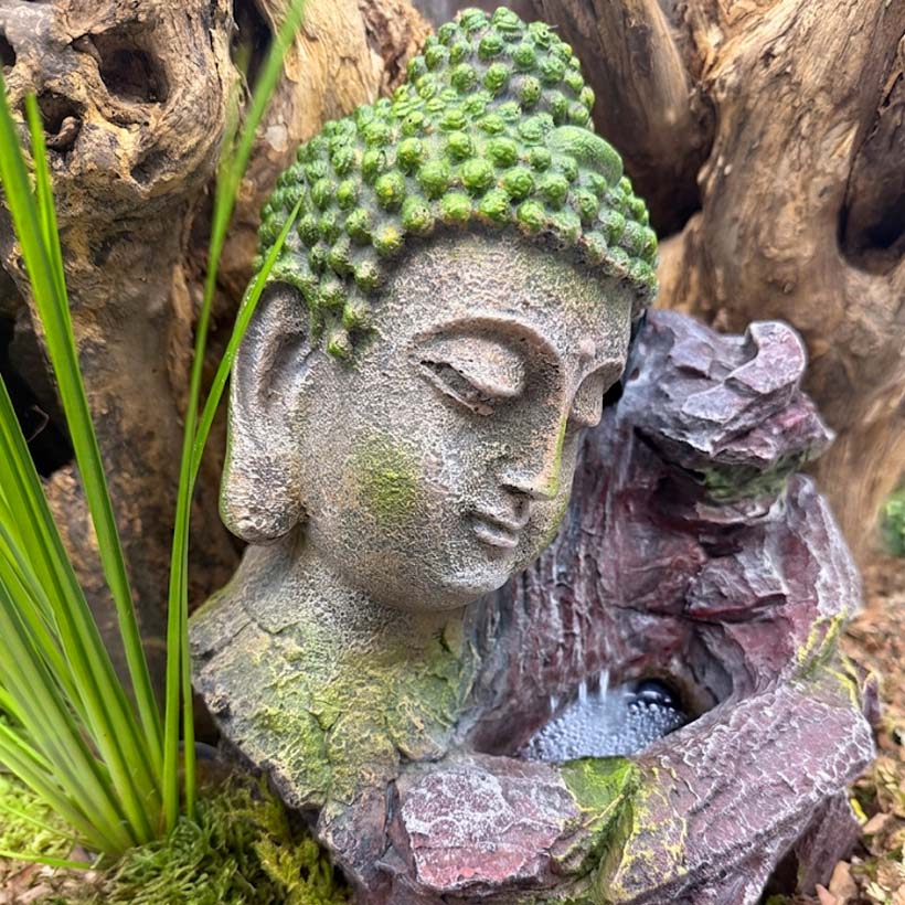 Repto Buddha Kaskade- im Terrarium