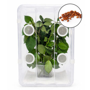 Wandelndes Blatt Komplettset