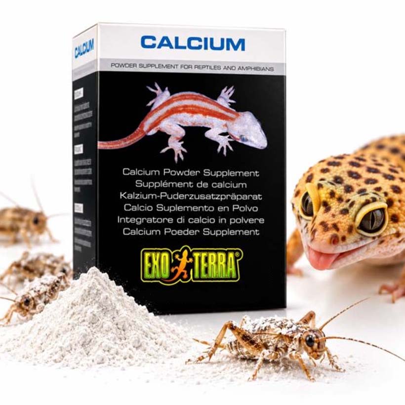 Exo Terra Calcio en polvo - Geco leopardo