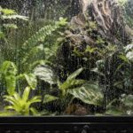 Kalkflecken im Terrarium