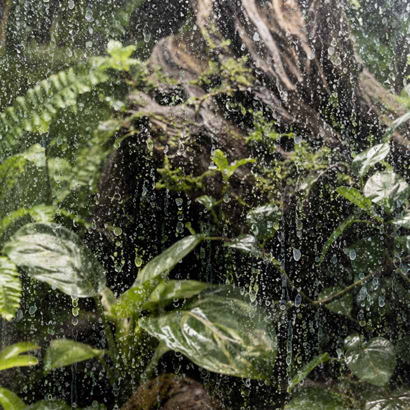 Kalkflecken im Terrarium-Glasscheibe