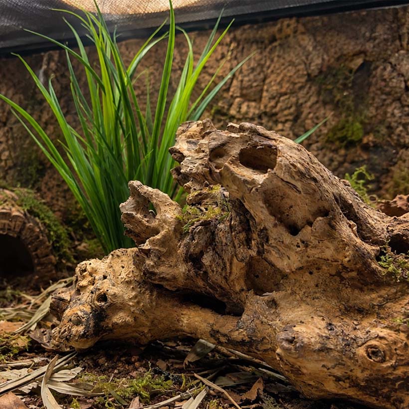 Exo Terra Artificial Grass Terrarium