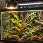 Terrarienbeleuchtung-Beitragsbild