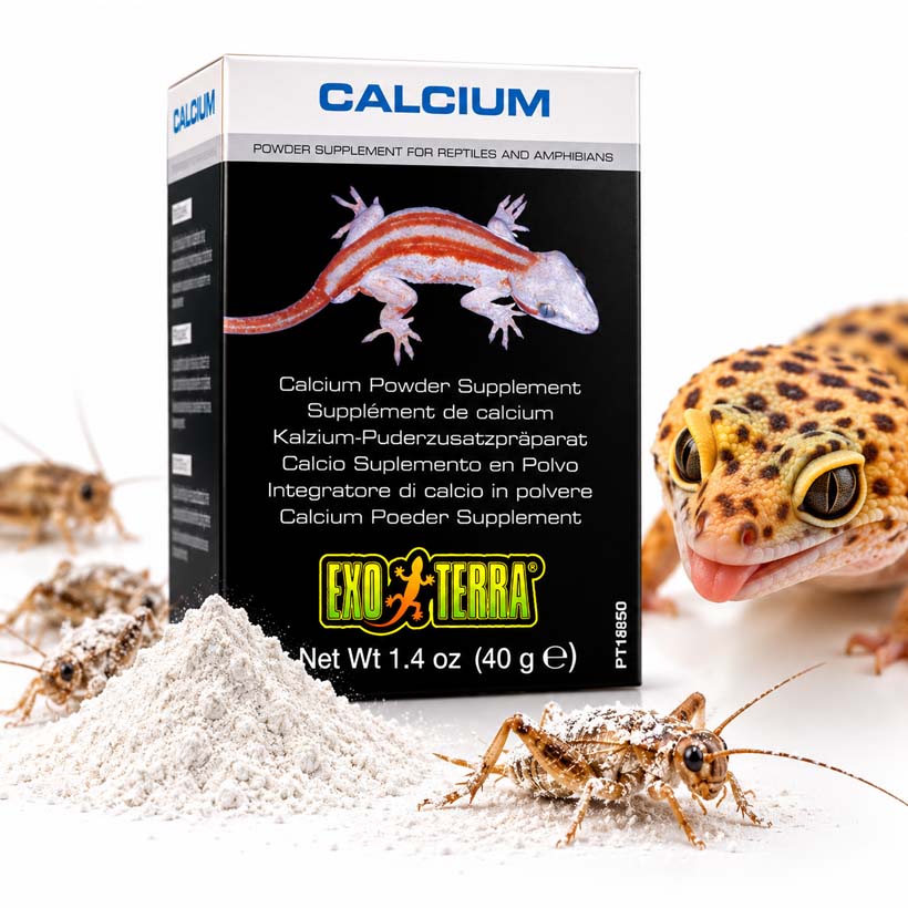 Exo Terra Calcium Powder—Leopard Gecko