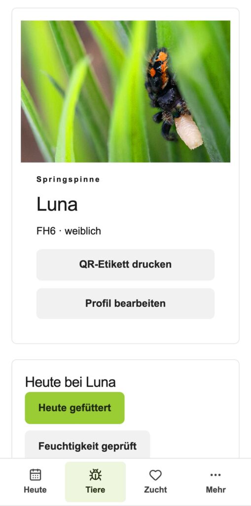 Insektenliebe-Tierbegleiter-Beitragsbild 2