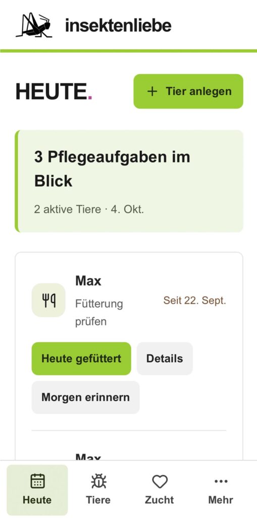 Insektenliebe-Tierbegleiter-Beitragsbild 4